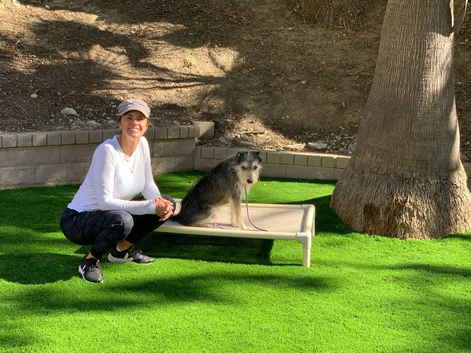 Professional dog trainer available for consultations