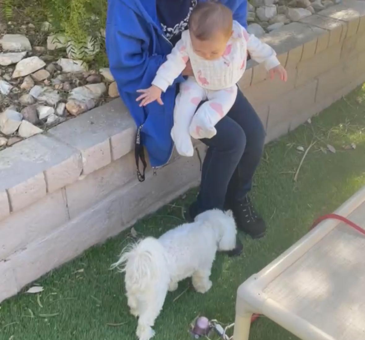 Dogs Babies-2 - A Dog's Life with Lia