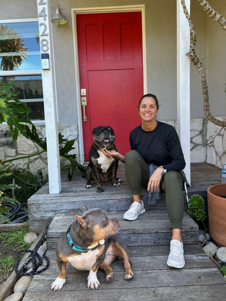 Do dogs understand kisses