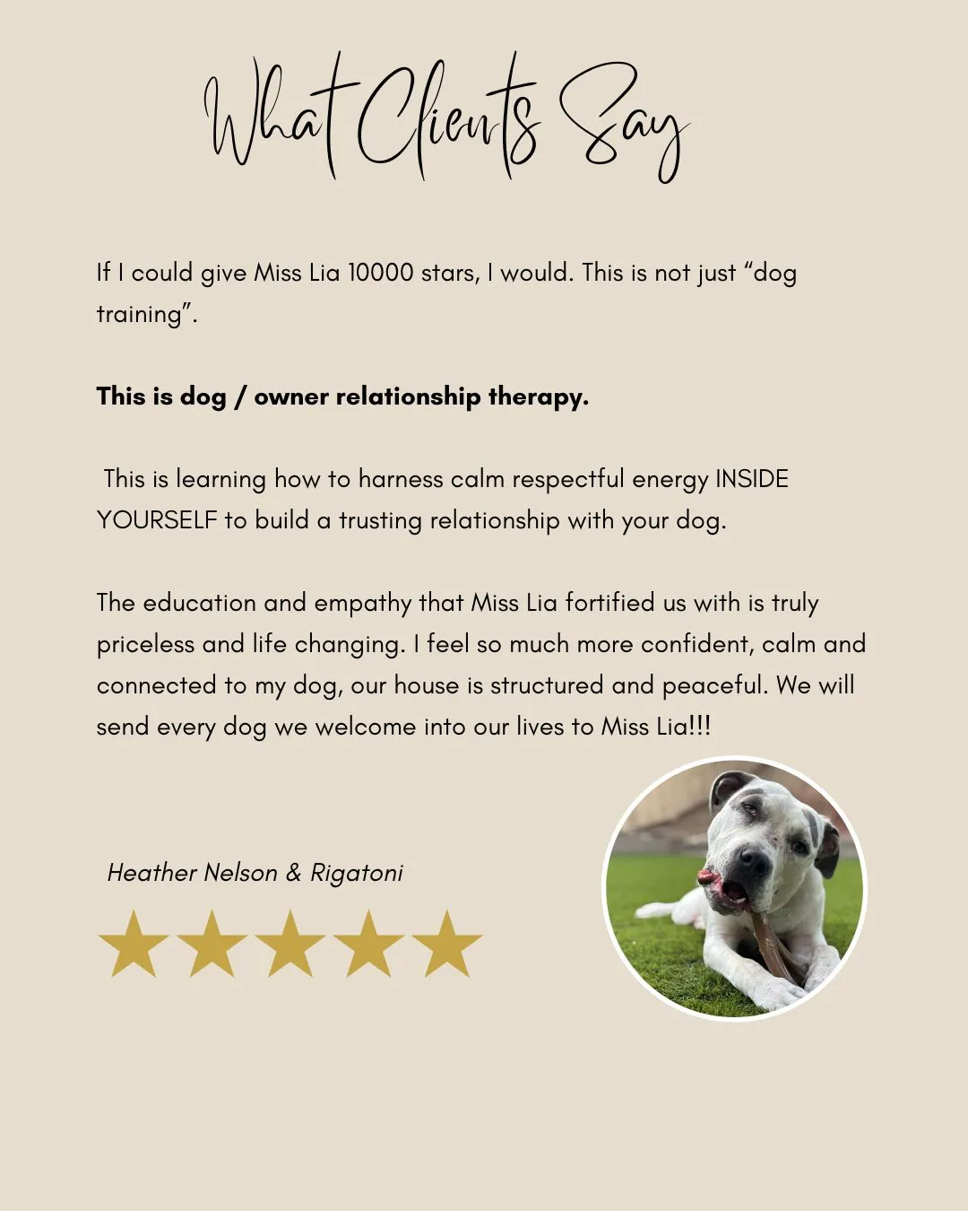 Dog owner relationship training testimonial with Rigatoni