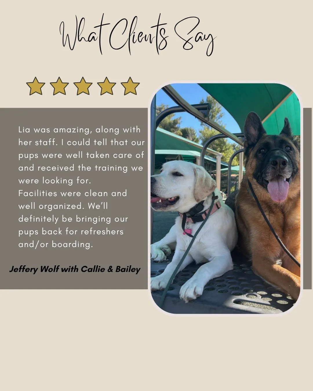 Dog boarding and training testimonial with Callie and Bailey