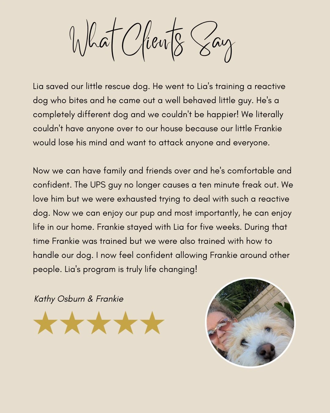 Reactive rescue dog training testimonial with Frankie