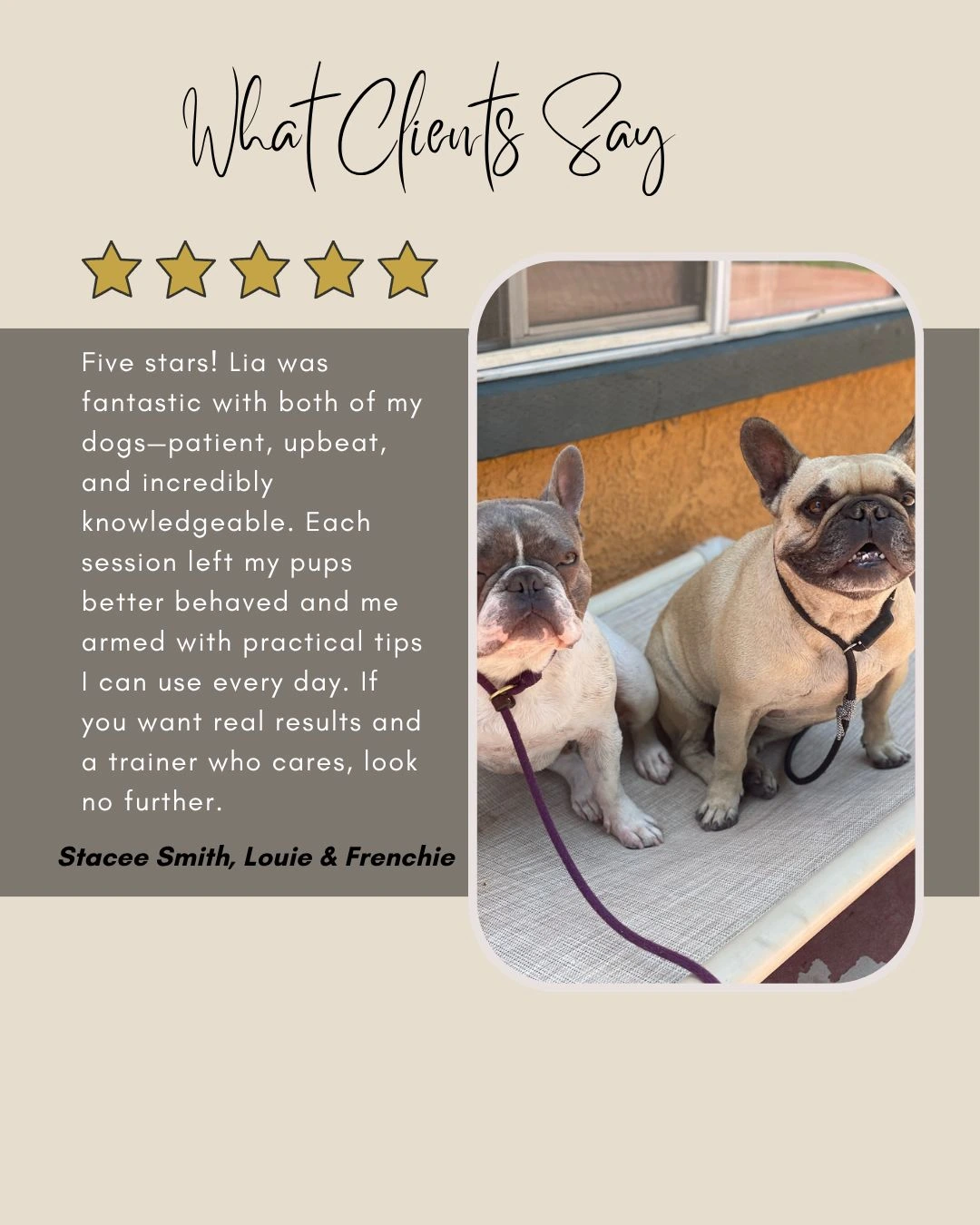French bulldog training testimonial with Louie and Frenchie