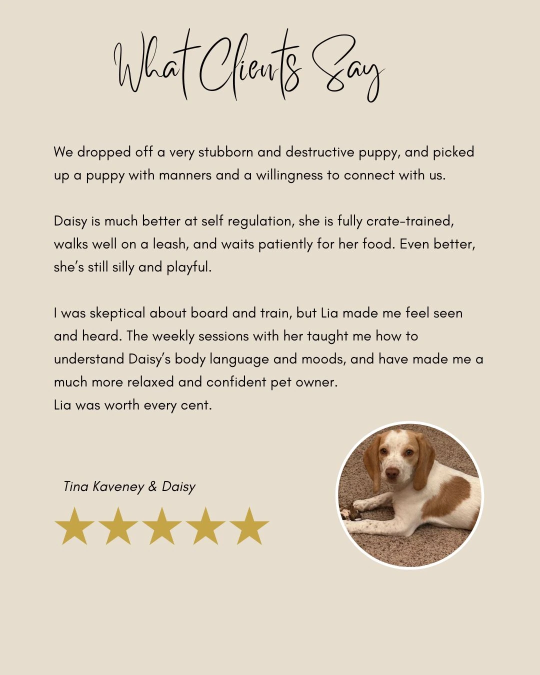 Crate training puppy testimonial with Daisy