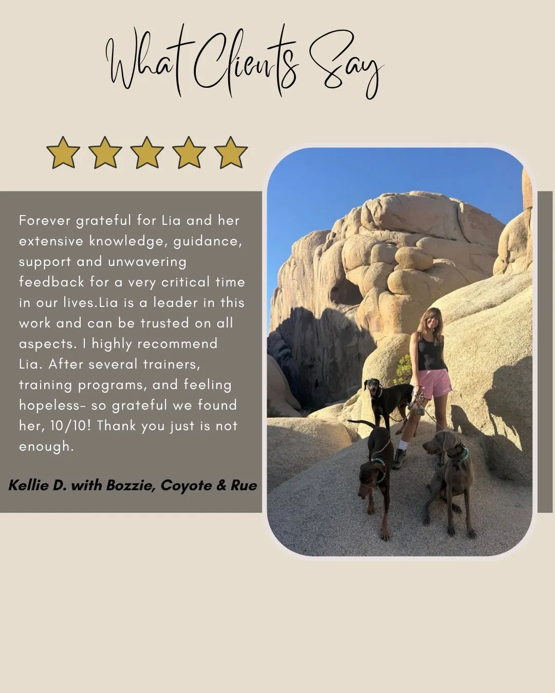 Dog behaviour training testimonial with Bozzie, Coyote and Rue