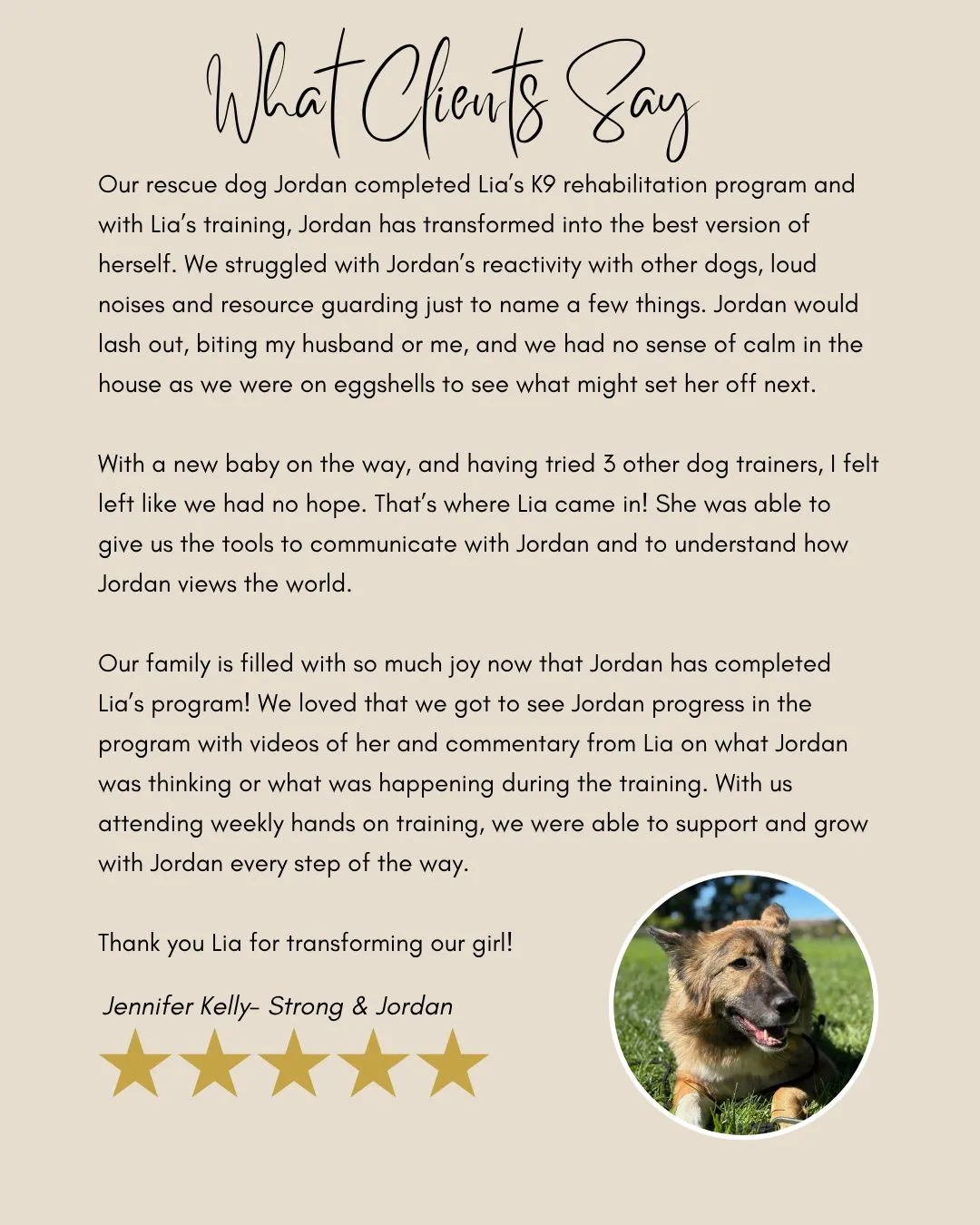 Reactive dog training testimonial for rescue dog Jordan