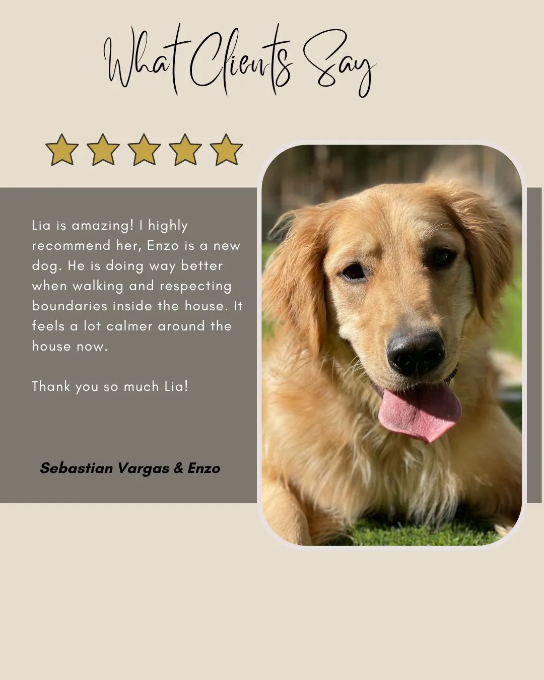 Puppy training testimonial with golden retriever Enzo