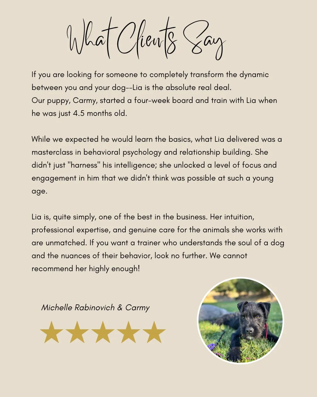 Board and train puppy testimonial with Carmy