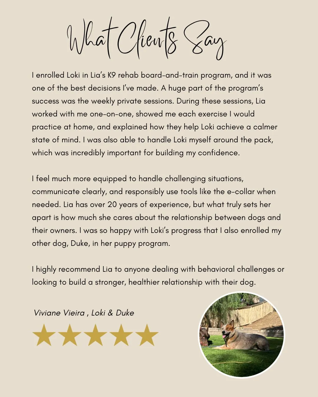 K9 rehabilitation training testimonial with Loki and Duke