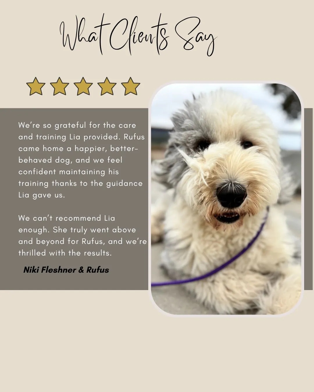 Dog behaviour training testimonial with Rufus