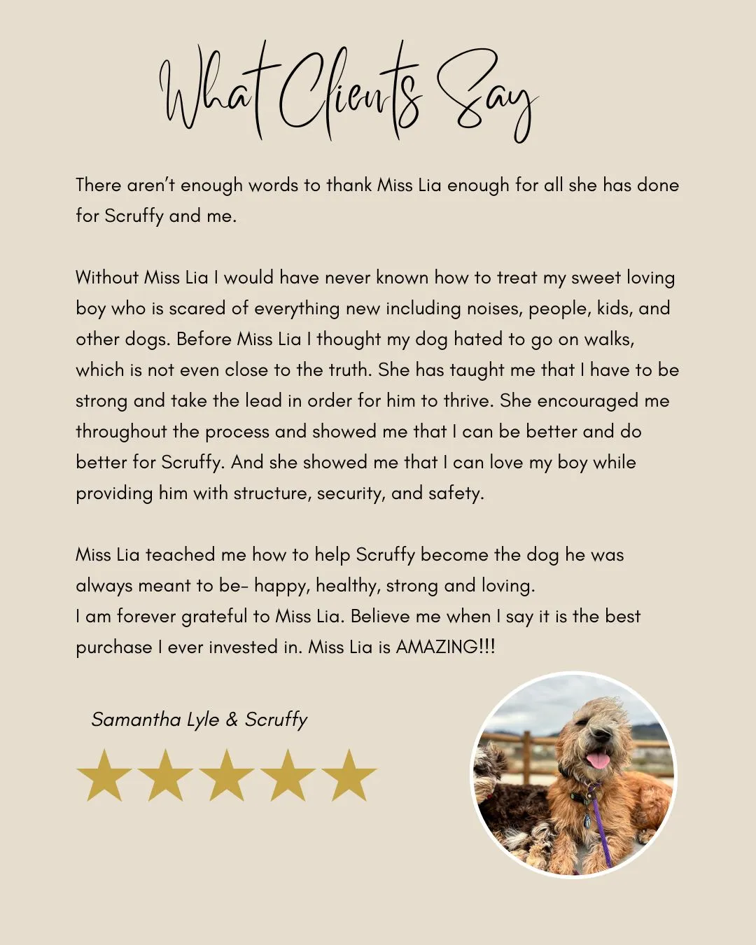 Fearful dog rehabilitation testimonial with Scruffy