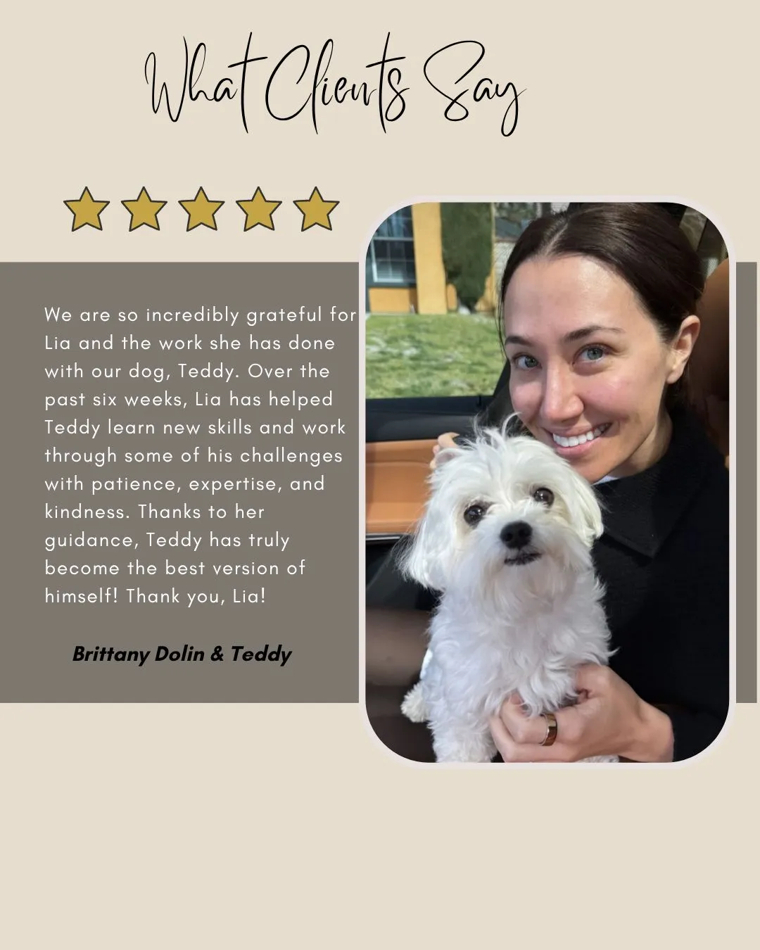 Puppy behaviour training testimonial with Teddy