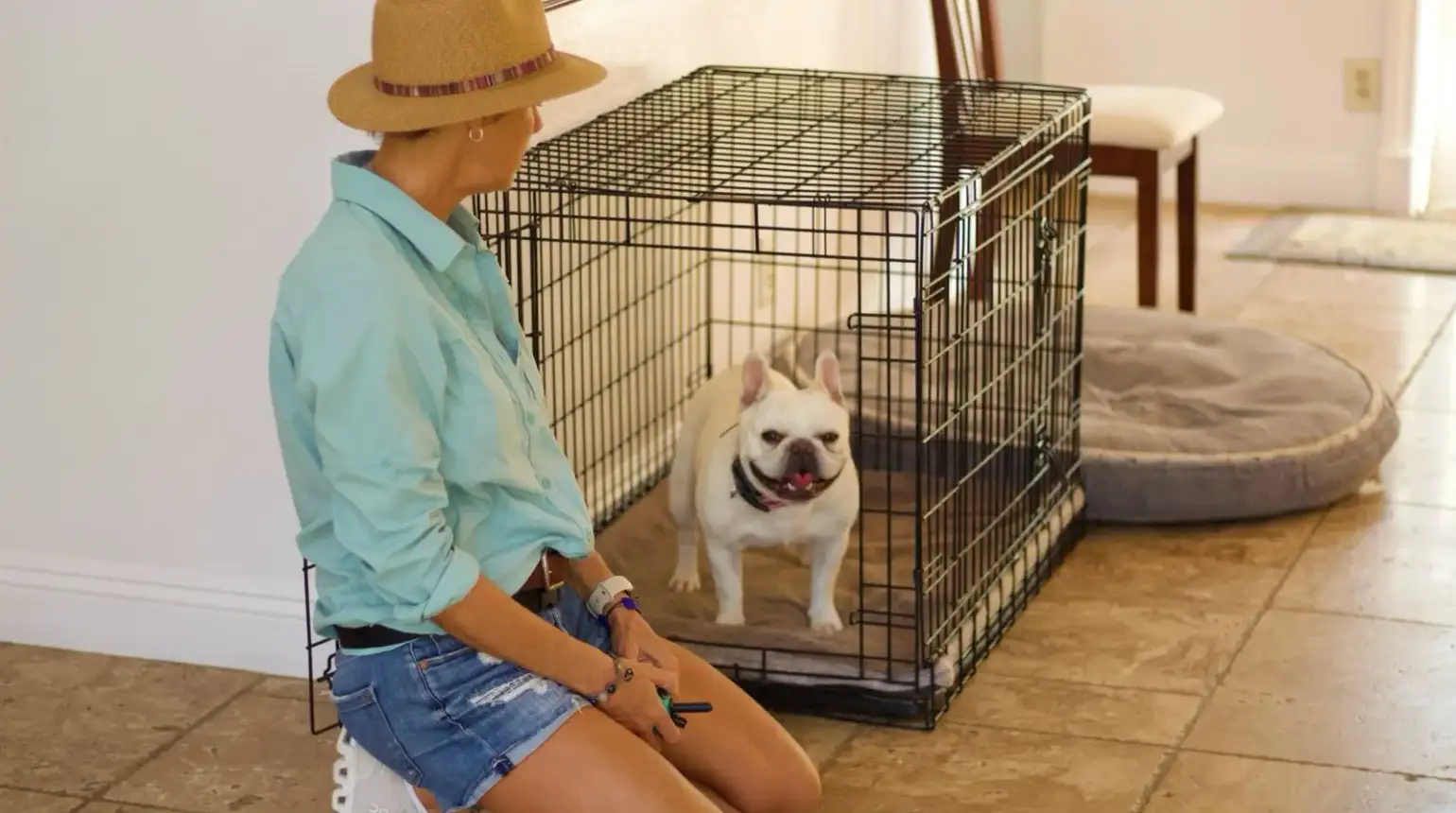 Why Is Crate Training A Great Idea?